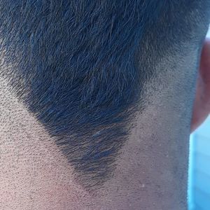 Meet your Posher, Franklin